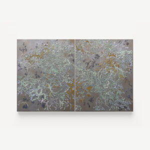 Tender – Point Lobos Lichen