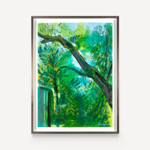 Through the Canopy I​